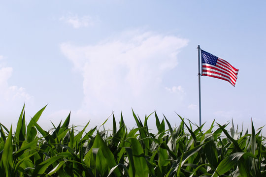American-Made Precision Seeder: Why Ace Outshines Imports